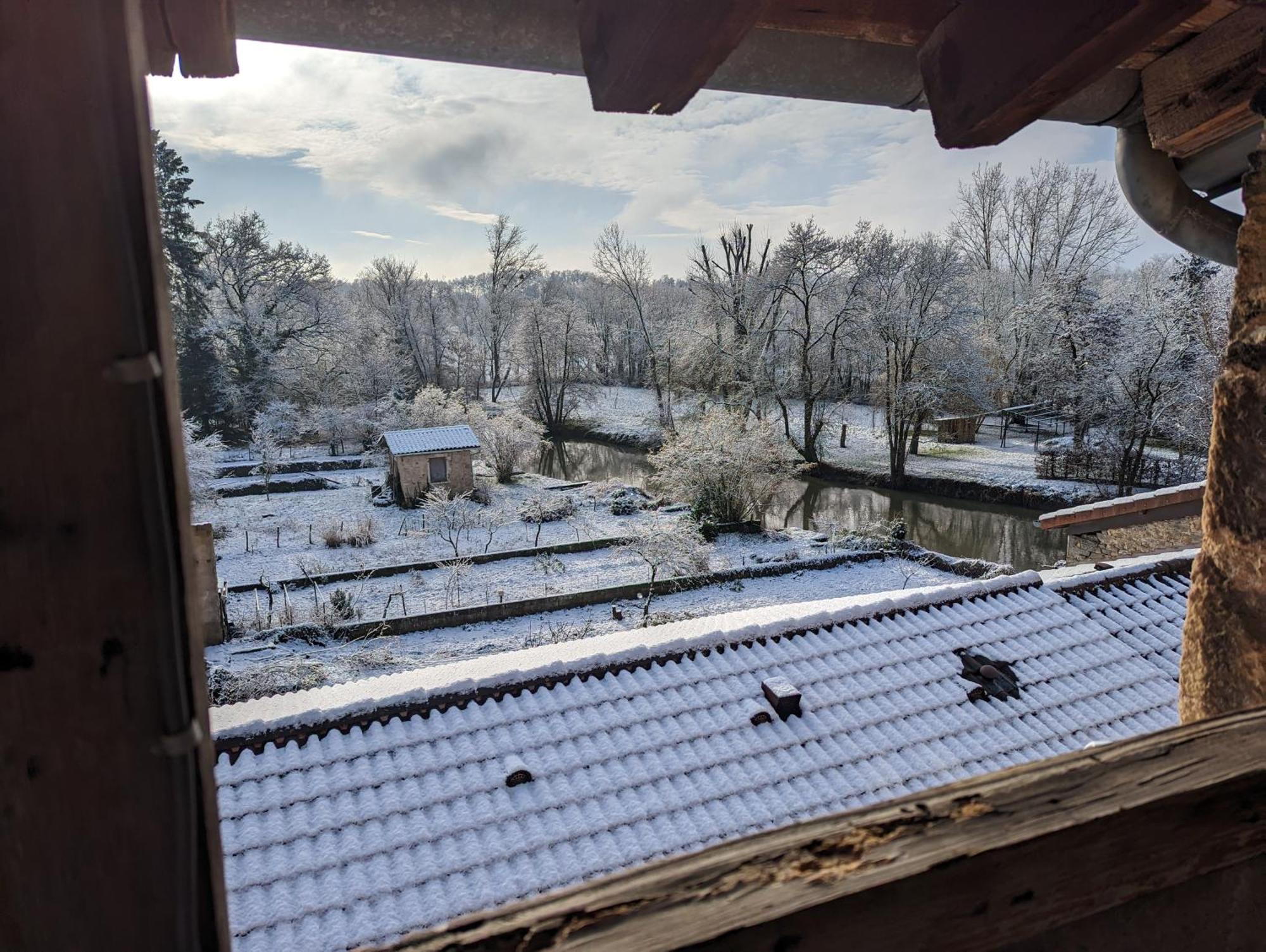 Le Cinoche, Cocon Sous Les Toits Daire Pont-de-Vaux Dış mekan fotoğraf